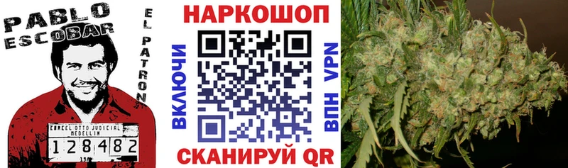 МЕФ Тетюши