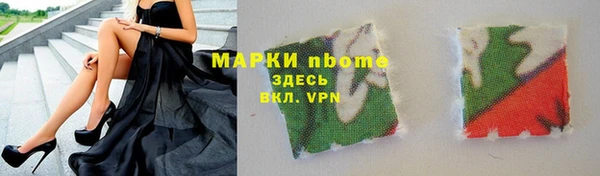 шишки Новозыбков