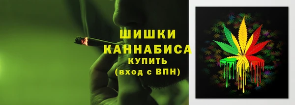 шишки Новозыбков