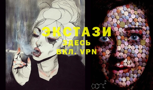 шишки Новозыбков