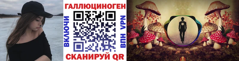 Галлюциногенные грибы мицелий  Тетюши 